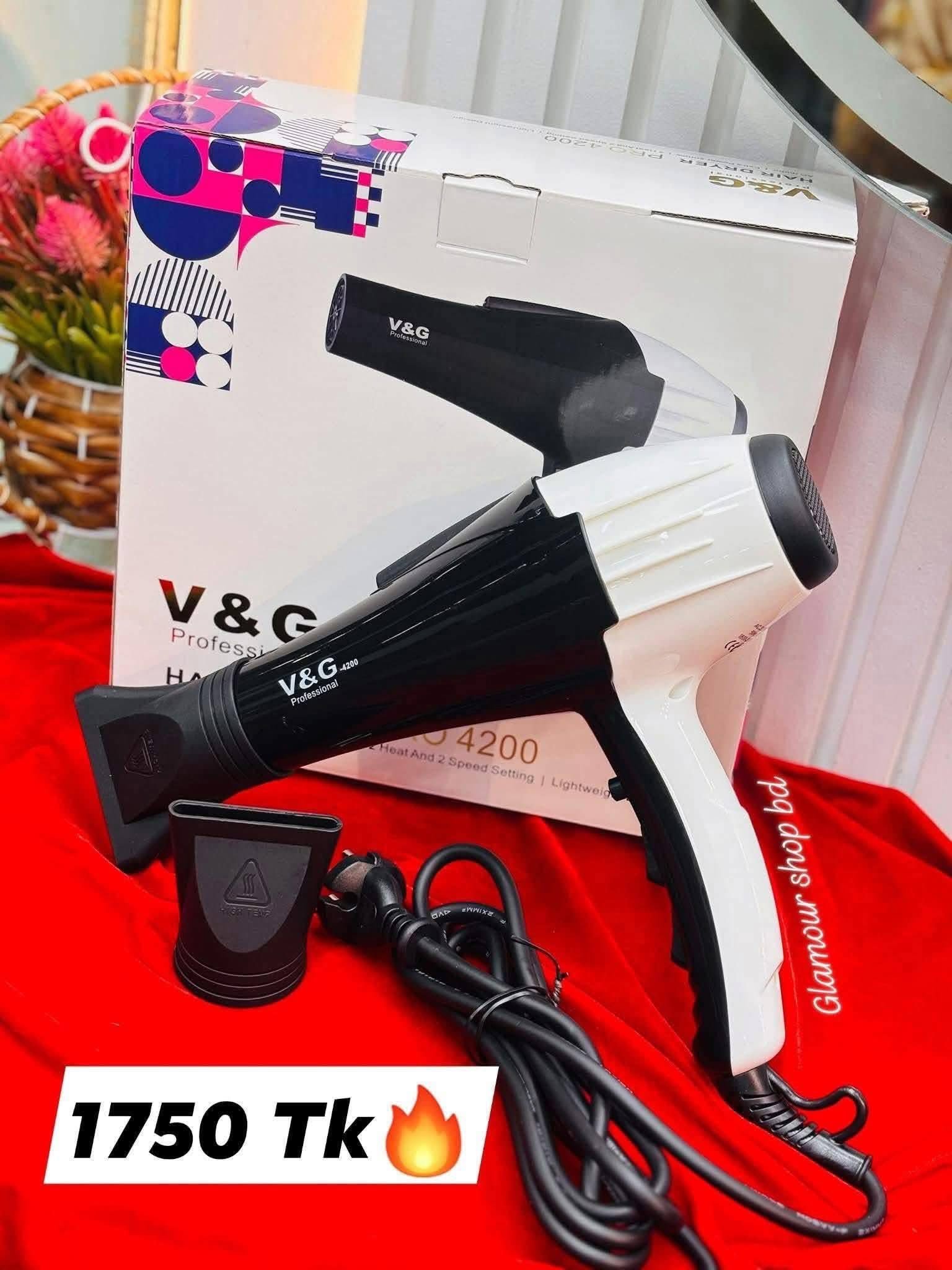 V&G Professional Hair dryer Pro- 4200